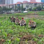 *Ada Kebun Jagung di Tengah Kota Jakarta, Polri: Upaya Polri Dukung Asta Cita Presiden*