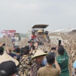 Kapolda Jatim Pimpin Panen Raya Jagung Hibrida di Sidoarjo