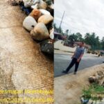 Perkerjaan Ruas Jalan Provinsi Palembayan DAK 2024 Oleh PT. Aura Mandiri Sejahtera Kacau Balau