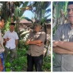 Ali Husen Berqurban di Mesjid Raya Sikabu, Tegaskan Komitmen Sosial dan Kepedulian terhadap Warga