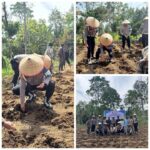 Dukung Ketahanan Pangan Nasional, Bidpropam Polda Sumbar Gelar Penanaman Jagung di Nagari Lasi
