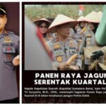 Sinergi Polri dan Masyarakat, Kapolda Sumbar dan Kapolres Solok Panen Jagung di Lahan Ketahanan Pangan