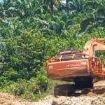 Basri Purnawirawan TNI AD Tegaskan Tak Ada Kegiatan Galian C di Lahan Pribadinya di Pandam Pasar Durian, Manggopoh