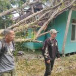 TIM KUA KECAMATAN PAGAI UTARA SELATAN MELAKUKAN KUNJUNGAN KE LOKASI TERKENA MUSIBAH