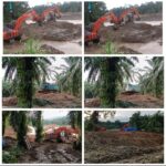 PASCA BENCANA GALODO DAN BANJIR, PETI TUMBUH SUBUR DI ATAS DERITA RAKYAT PASAMAN BARAT