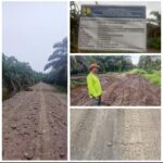 Proyek Jalan di Atas Gambut Agam Disorot Tajam, TG 08 Hantam Balai Wilayah I Sumbar: Hentikan Proyek, Selamatkan Uang Negara