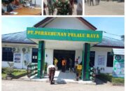 HGU Berakhir 2023, PT Perkebunan Pelalu Raya Diduga Masih Kuasai Tanah Ulayat Salareh Aia Utara, Konflik Agraria di Agam Memanas