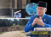 Pembangkangan Hukum di Inhil Menggugat “Parit Gajah” Gindo Naibaho dan Runtuhnya Wibawa Negara