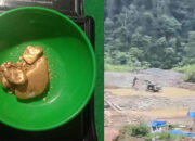 Diduga Ada Pembiaran dari APH, Tambang Emas Ilegal Semakin Menggila di Supayang