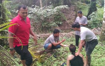 Satresnarkoba Polres Pasaman Barat Ringkus Pengedar Sabu-Sabu dan Ganja Kering di Jorong Sidomulyo