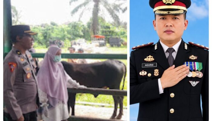 Kapolres Pasaman Barat AKBP Agung Tribawanto Tinjau Langsung Aktivitas Jual Beli Hewan Kurban