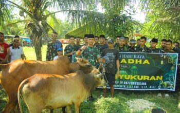 Prajurit Yonif TP 897/Singgalang Terima Hewan Kurban, Wujud Kepedulian Pangdam XX/TIB kepada Pasukan di Lapangan