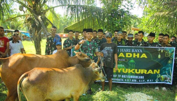 Prajurit Yonif TP 897/Singgalang Terima Hewan Kurban, Wujud Kepedulian Pangdam XX/TIB kepada Pasukan di Lapangan