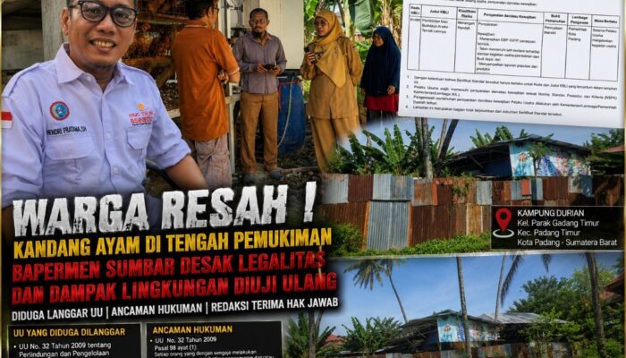 Warga Resah Kandang Ayam di Tengah Pemukiman, Bapermen Sumbar Desak Legalitas dan Dampak Lingkungan Diuji Ulang