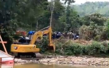 Maraknya Tambang Emas Ilegal di Pasaman: Puluhan Unit Excavator Merusak Alam, di Kawasan Muaro Sungai Lolo