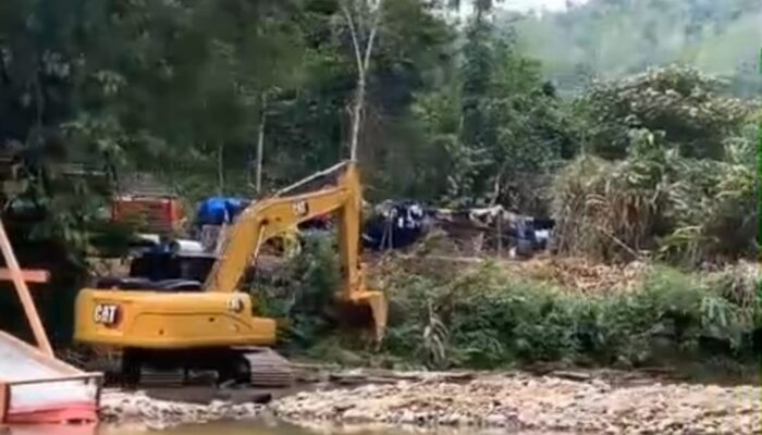 Maraknya Tambang Emas Ilegal di Pasaman: Puluhan Unit Excavator Merusak Alam, di Kawasan Muaro Sungai Lolo