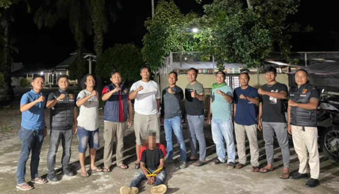 Dari Rumah Kontrakan ke Kebun Sawit, Satreskrim Polres Pasbar Bongkar Jejak Pelarian AP