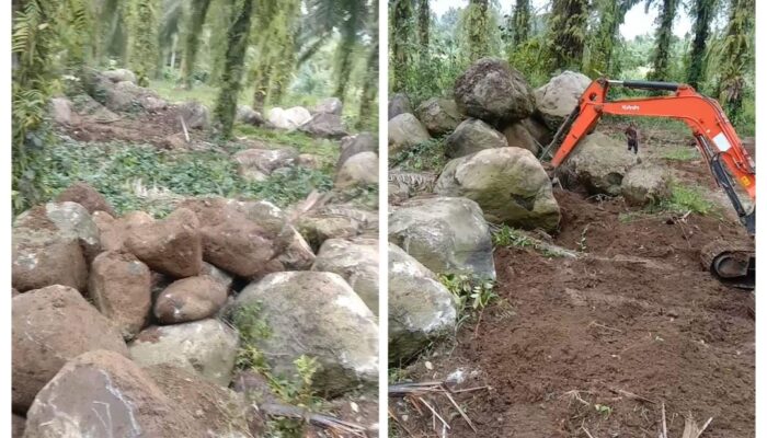 CV Bintang Patimah Mandiri Bantah Tambang Ilegal di Ladang Panjang, Dokumen ESDM Justru Memunculkan Sejumlah Pertanyaan Penting
